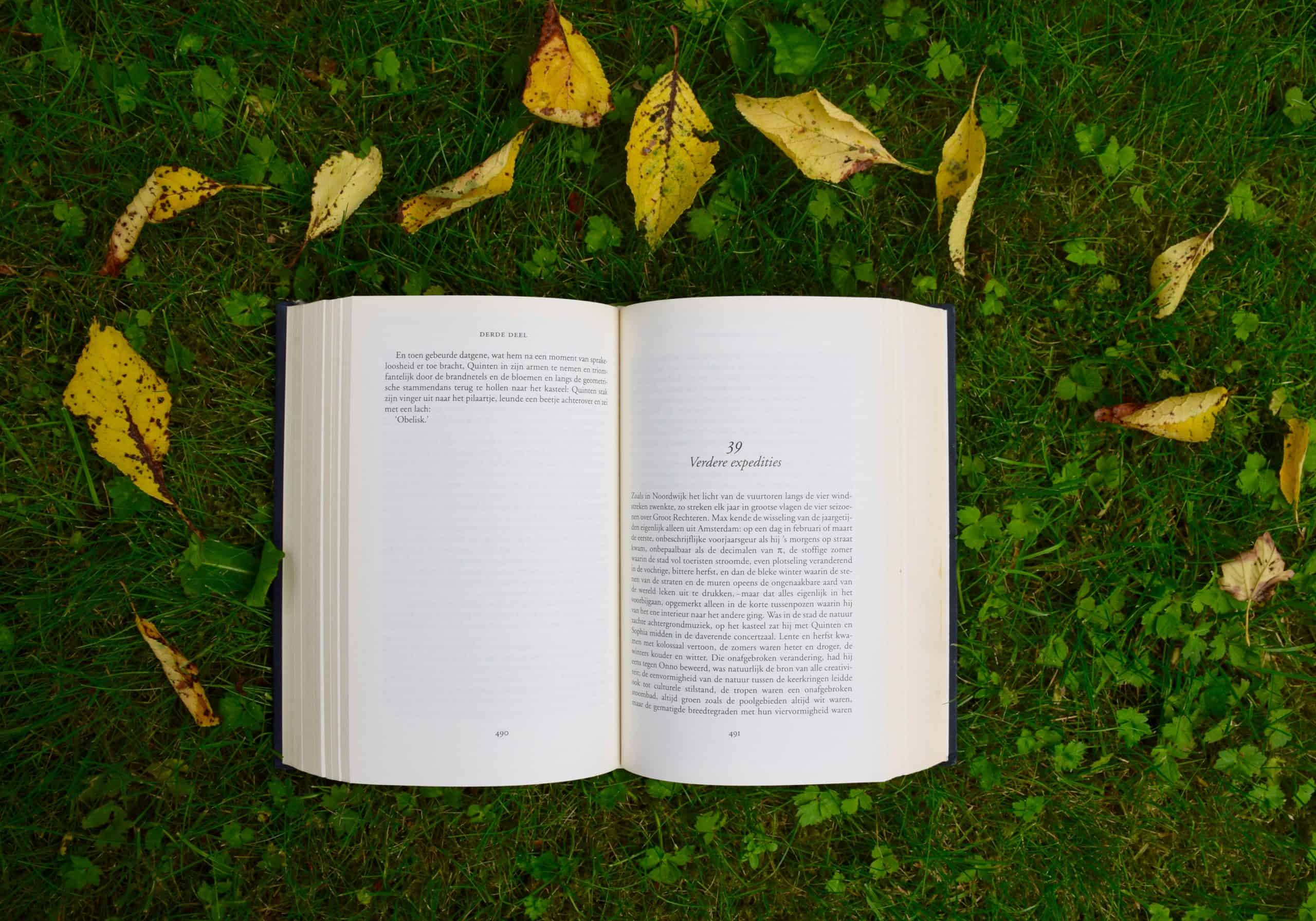 Open Book on Green Grass with Fallen Leaves Open book lying on lush green grass surrounded by yellow autumn leaves.