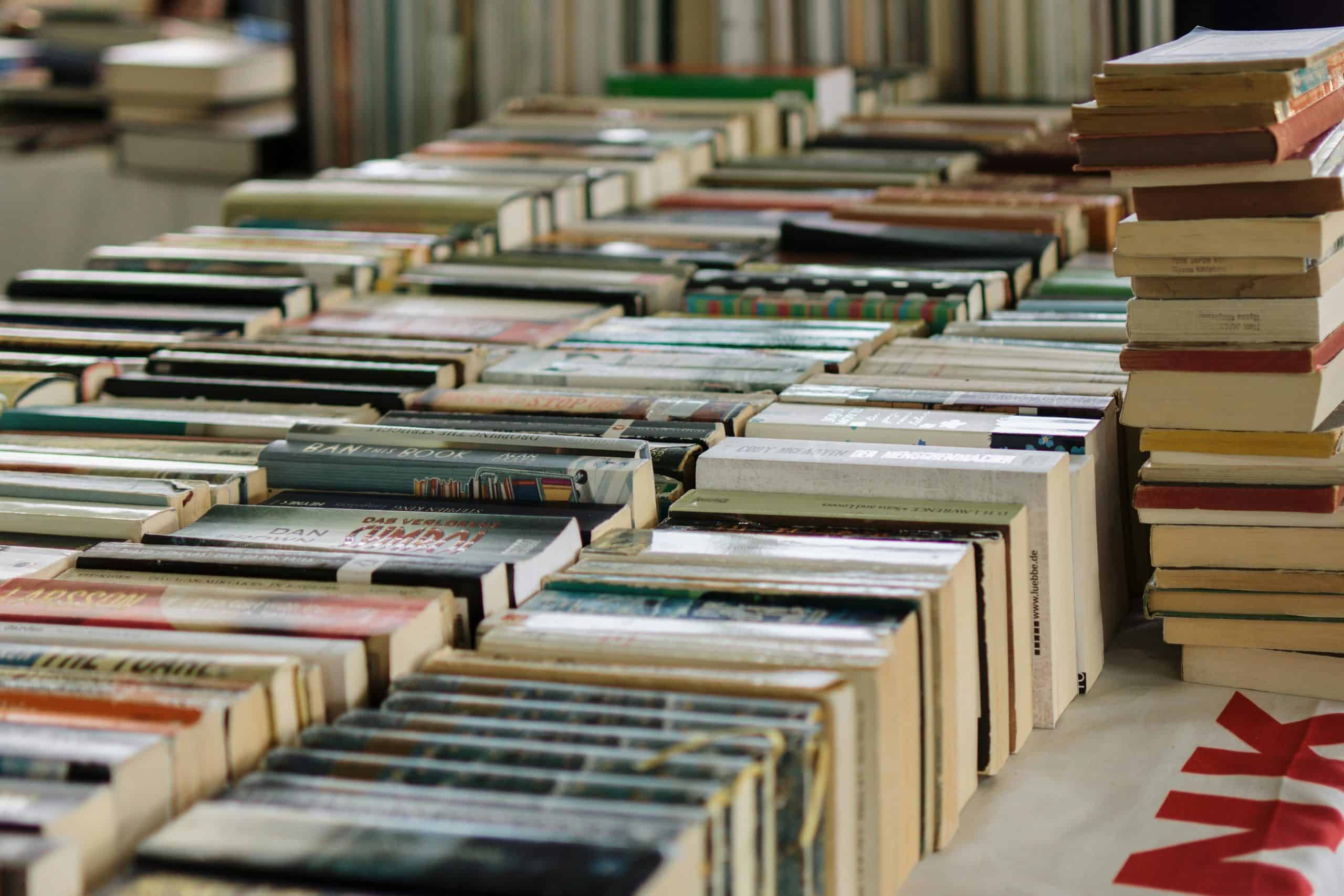 Book collection at Fantasy World Journal library. Books arranged on tables in a busy bookstore or library setting.